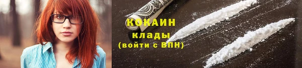 индика Армянск