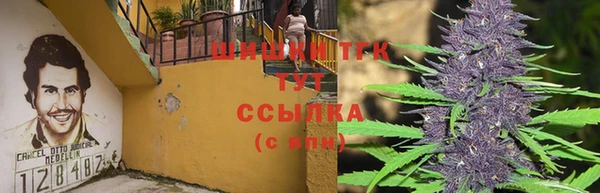 каннабис Аркадак