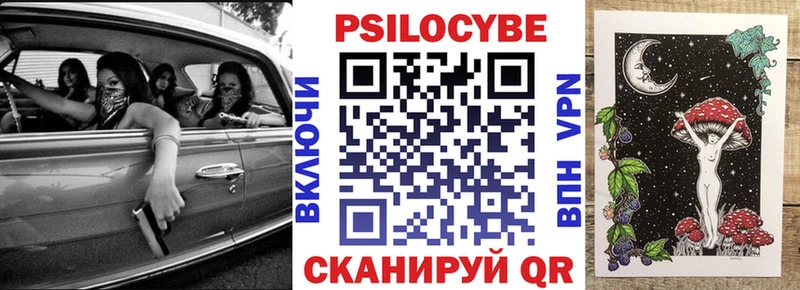 закладка  MEGA зеркало  Псилоцибиновые грибы Magic Shrooms  Кыштым 